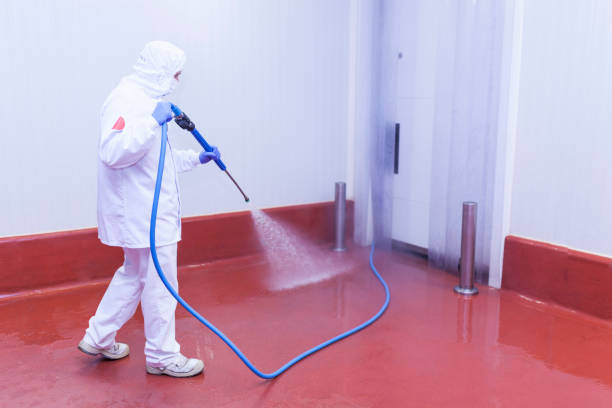 Best Patio and Deck Pressure Washing  in Regency At Monroe, NJ